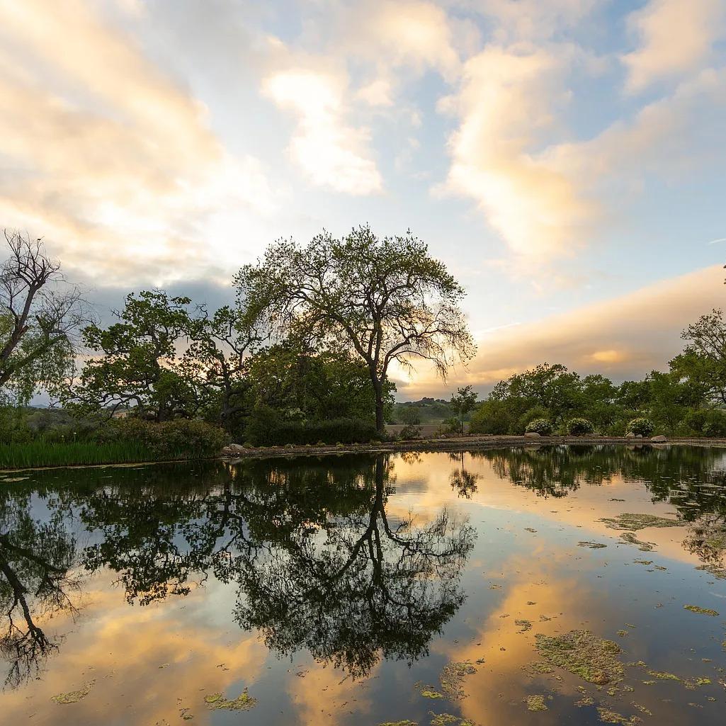 Pond of Steven Seagal and Kelly LeBrock’s Former CA Home